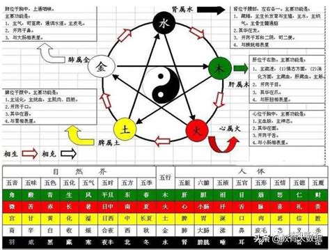 天運五行 火|天运五行属火是什么意思